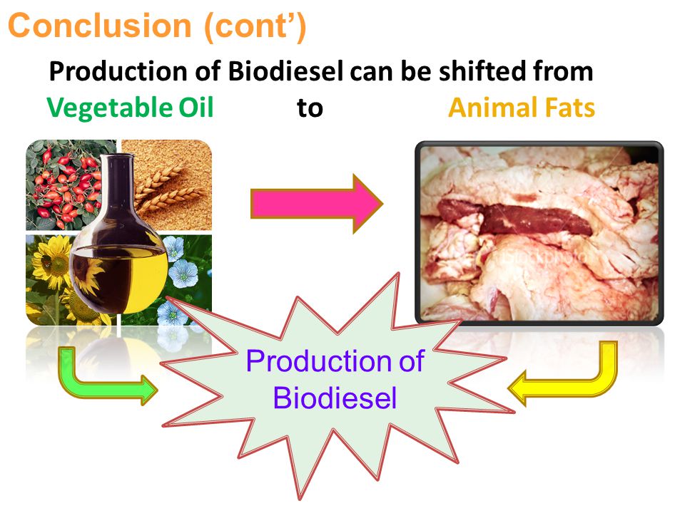 Animal fats → health problems Healthy eating style Oil discharged  Alternative source of energy. - ppt download