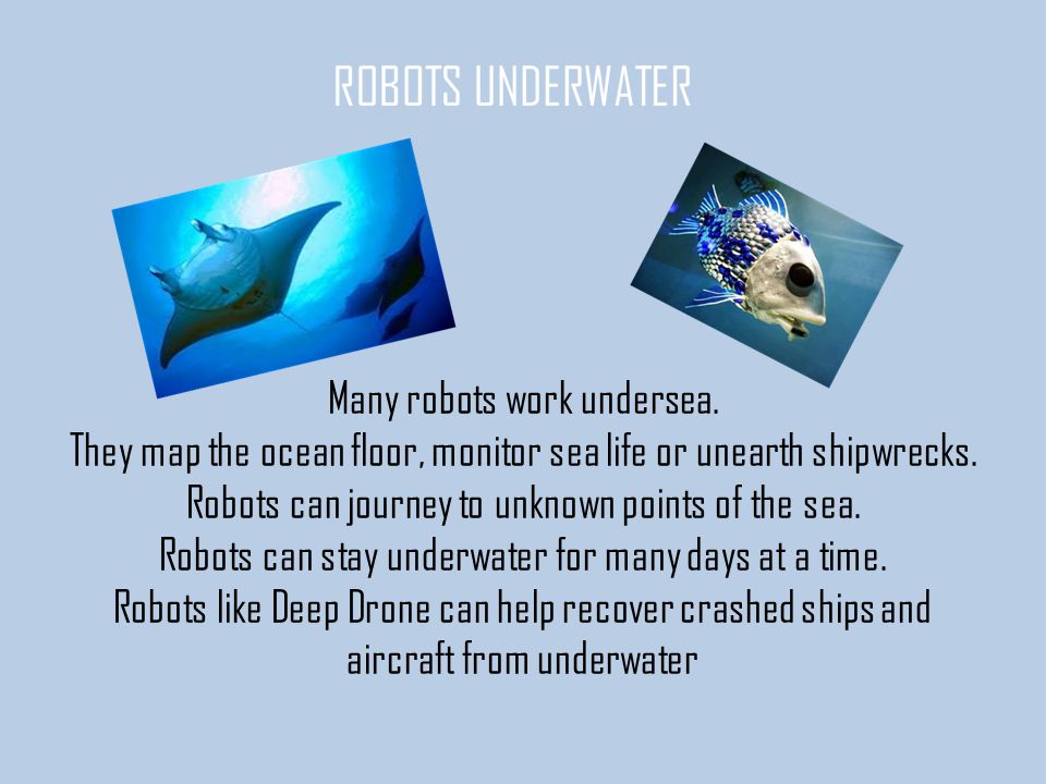 Many robots work undersea. They map the ocean floor, monitor sea life or unearth shipwrecks.
