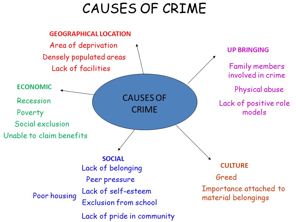 CAUSES OF CRIME SOCIAL GEOGRAPHICAL LOCATION UP BRINGING CULTURE ECONOMIC C...