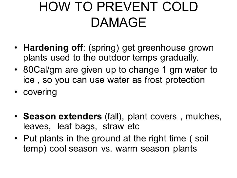HOW TO PREVENT COLD DAMAGE Hardening off: (spring) get greenhouse grown plants used to the outdoor temps gradually.