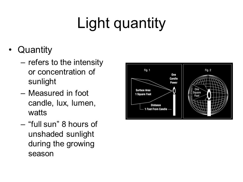 Light quantity Quantity –refers to the intensity or concentration of sunlight –Measured in foot candle, lux, lumen, watts – full sun 8 hours of unshaded sunlight during the growing season