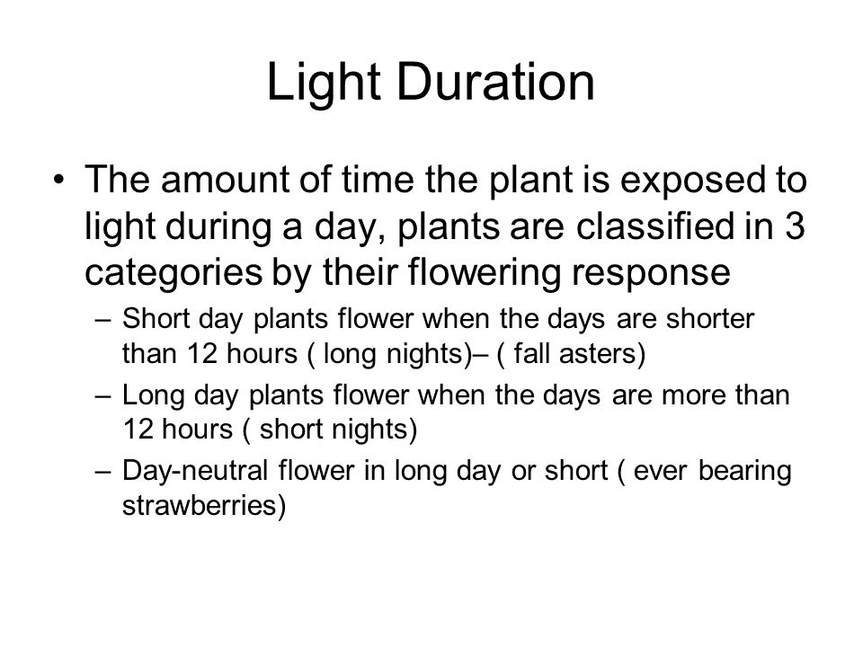 Light Duration The amount of time the plant is exposed to light during a day, plants are classified in 3 categories by their flowering response –Short day plants flower when the days are shorter than 12 hours ( long nights)– ( fall asters) –Long day plants flower when the days are more than 12 hours ( short nights) –Day-neutral flower in long day or short ( ever bearing strawberries)
