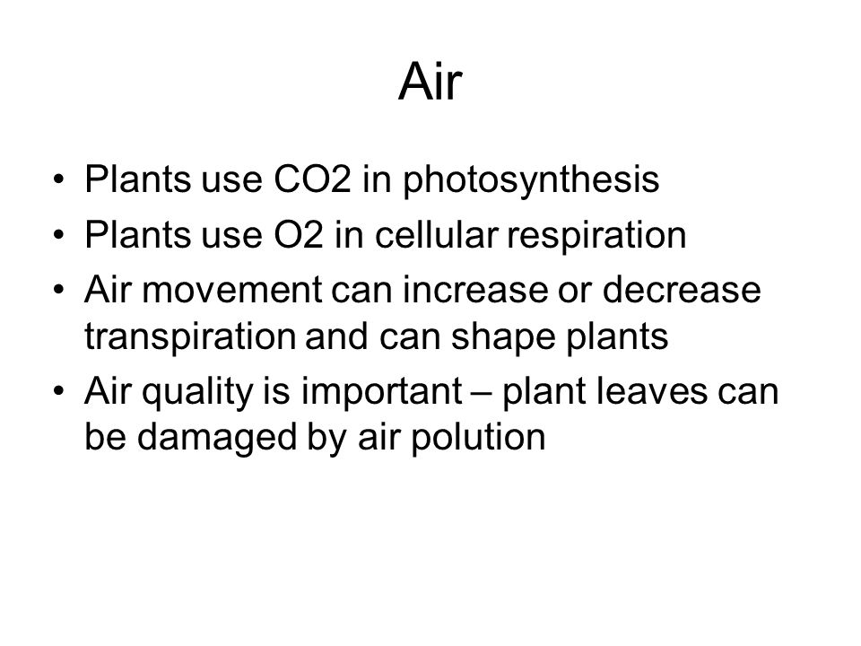 Air Plants use CO2 in photosynthesis Plants use O2 in cellular respiration Air movement can increase or decrease transpiration and can shape plants Air quality is important – plant leaves can be damaged by air polution