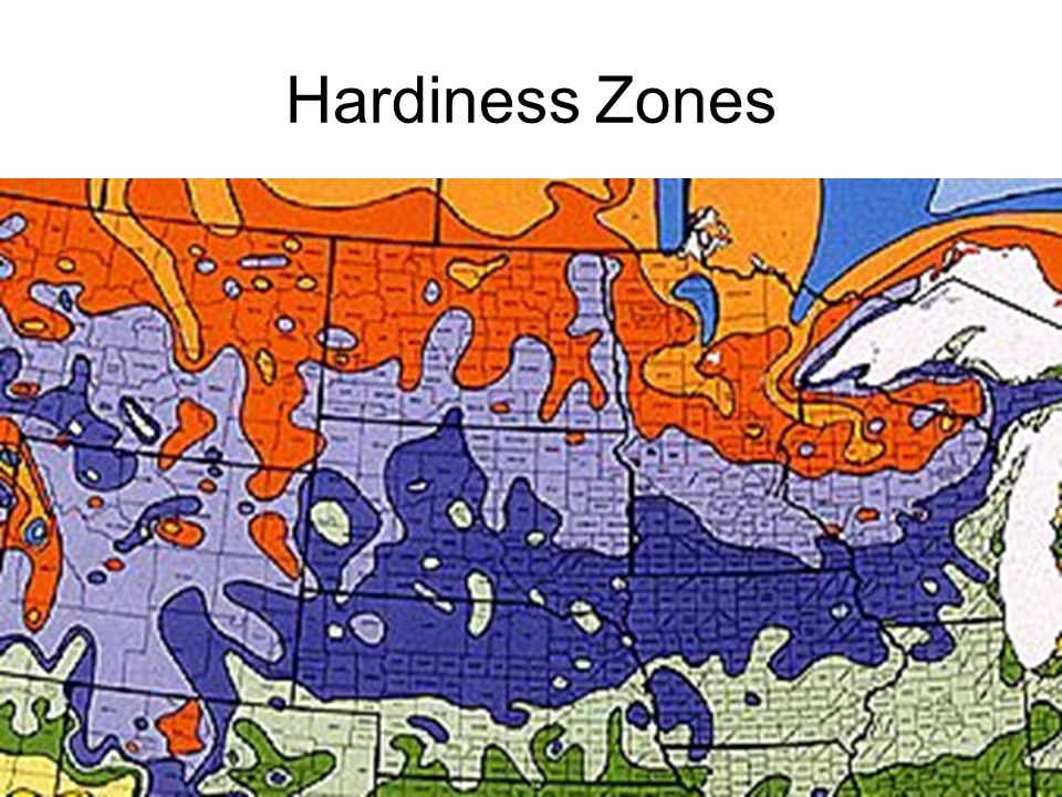 Hardiness Zones