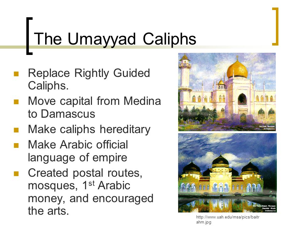 The Umayyad Caliphs Replace Rightly Guided Caliphs.