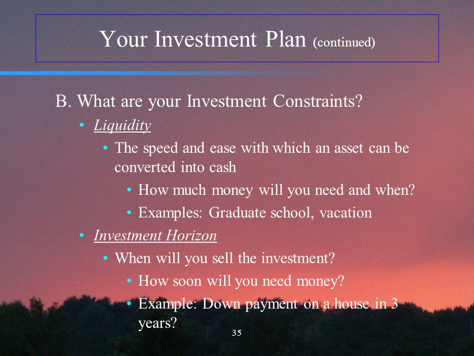 examples of investment constraints
