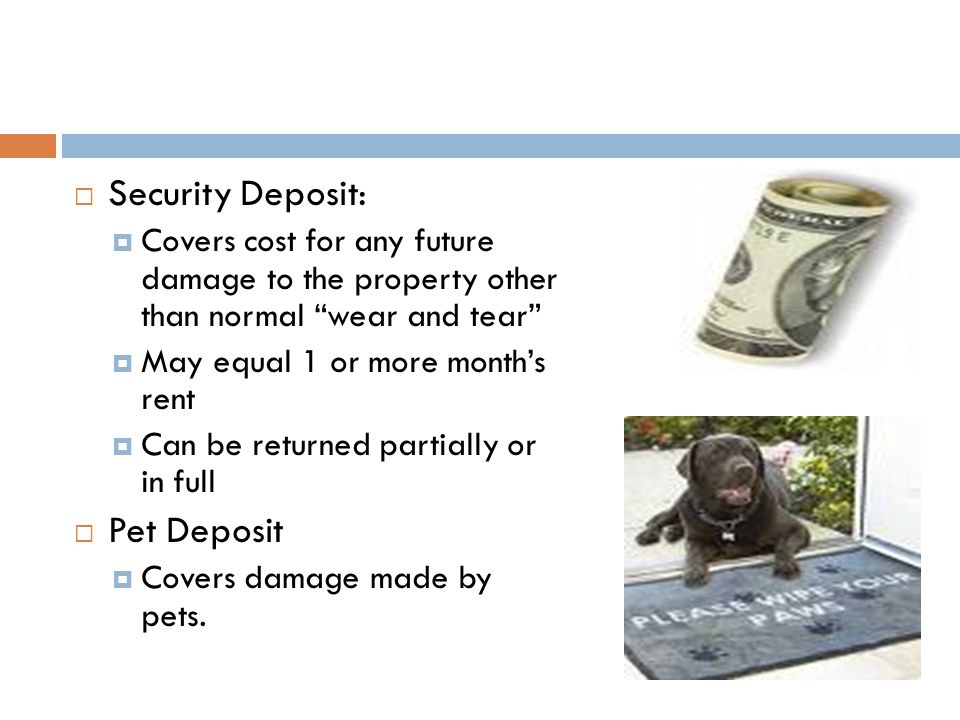  Security Deposit:  Covers cost for any future damage to the property other than normal wear and tear  May equal 1 or more month’s rent  Can be returned partially or in full  Pet Deposit  Covers damage made by pets.