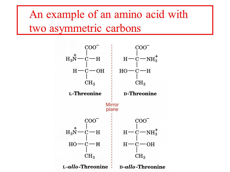 Amino Acids ( 9/08/2009) 1. What are Amino Acids, and what is their 3-D  structure? 2. What are the structures & properties of the individual amino  acids? - ppt download