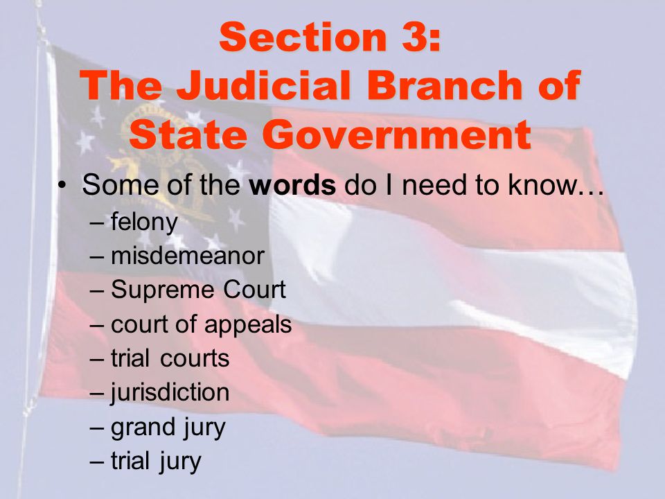 Section 3: The Judicial Branch of State Government Some of the words do I need to know… –felony –misdemeanor –Supreme Court –court of appeals –trial courts –jurisdiction –grand jury –trial jury
