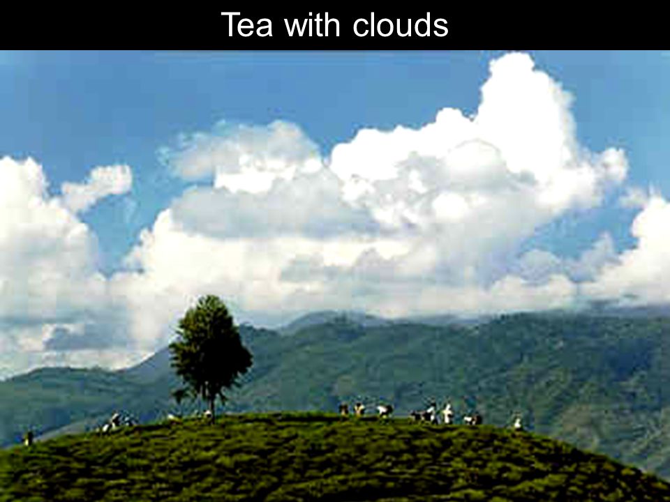 Tea with clouds