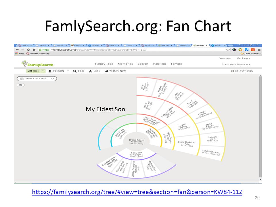 New Familysearch Org Fan Chart