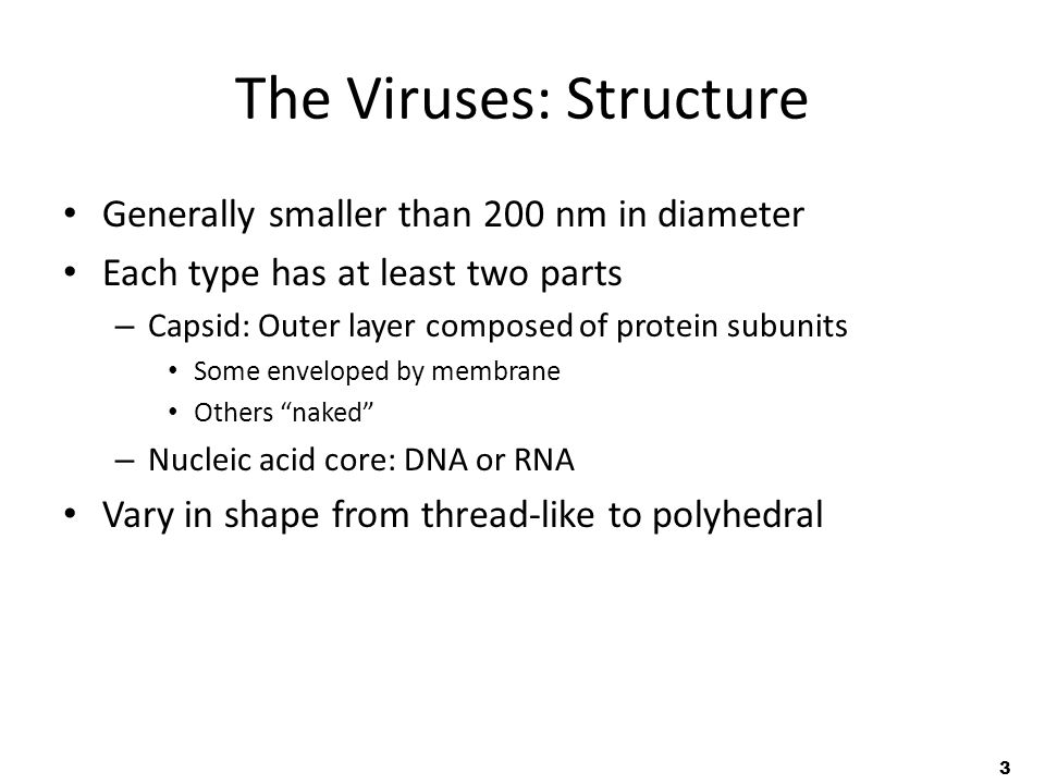 3 The Viruses: Structure Generally smaller than 200 nm in diameter Each type has at least two parts – Capsid: Outer layer composed of protein subunits Some enveloped by membrane Others naked – Nucleic acid core: DNA or RNA Vary in shape from thread-like to polyhedral