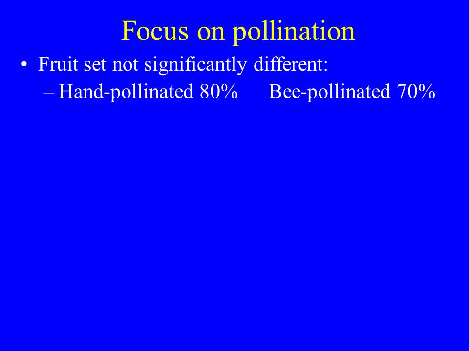 Focus on pollination Fruit set not significantly different: –Hand-pollinated 80% Bee-pollinated 70%