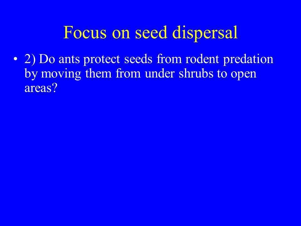 Focus on seed dispersal 2) Do ants protect seeds from rodent predation by moving them from under shrubs to open areas