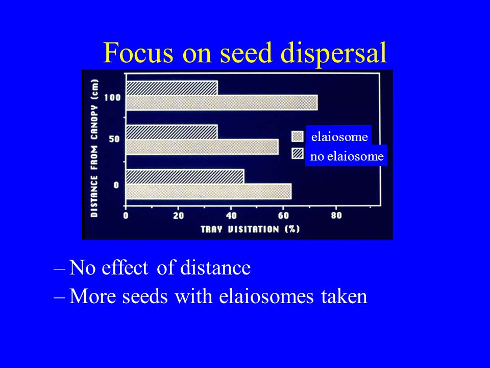 Focus on seed dispersal –No effect of distance –More seeds with elaiosomes taken elaiosome no elaiosome