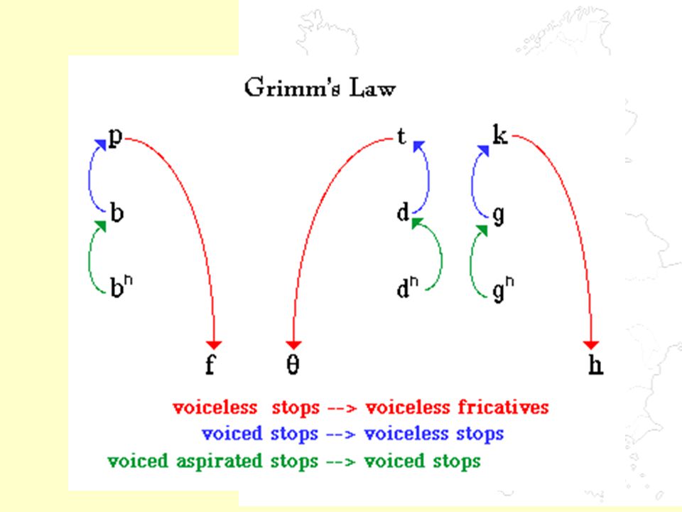 Voice stop. Grimm s Law. Grimm's Law "father". Verners Law. Закон гримма.