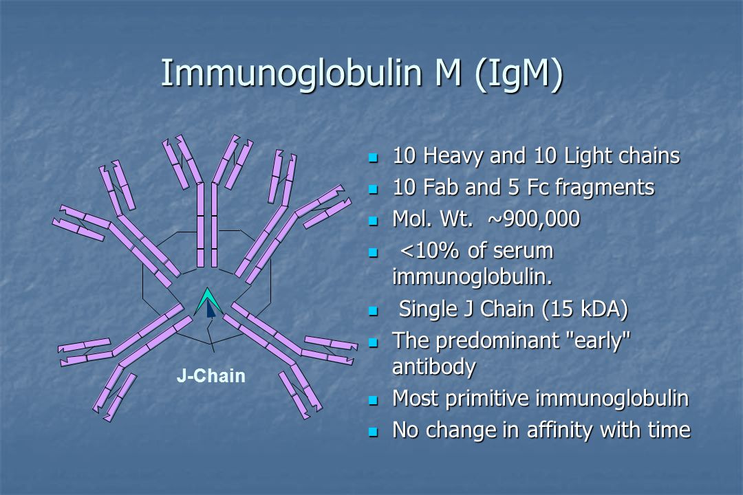 Иммуноглобулины iga igm. IGM иммуноглобулин. Иммуноглобулин IGM 2.4. IGM строение иммуноглобулина. Структура IGM.