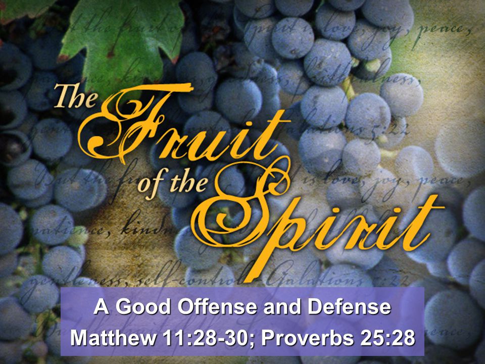 A Good Offense and Defense Matthew 11:28-30; Proverbs 25:28