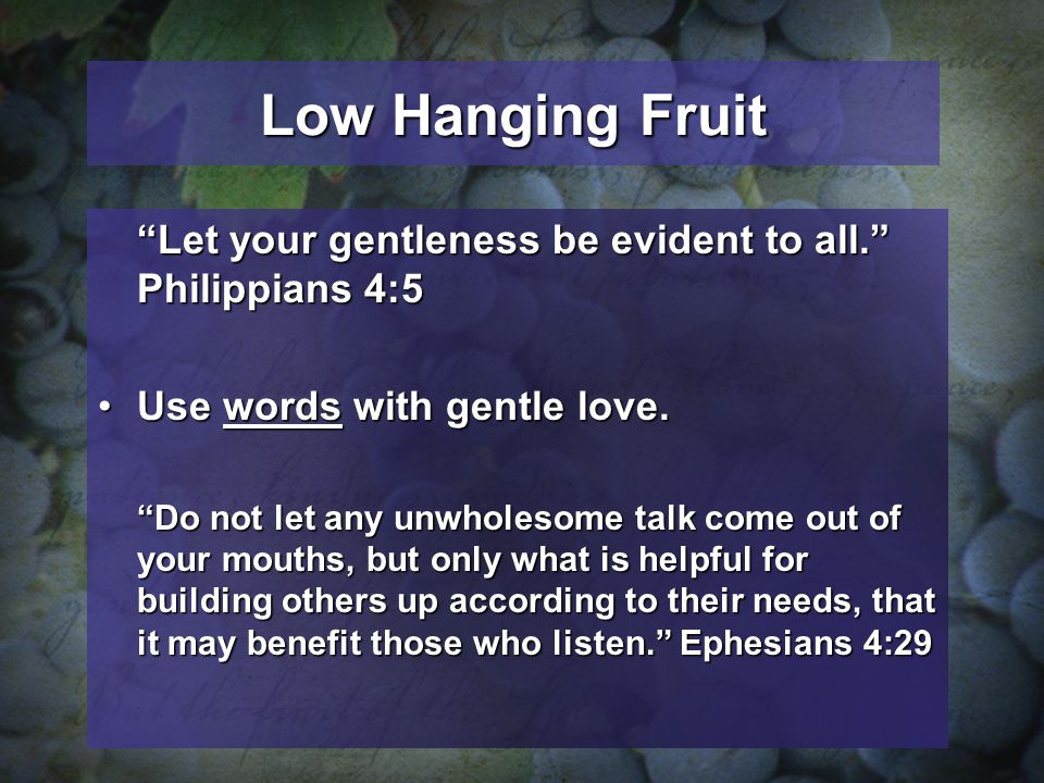 Low Hanging Fruit Let your gentleness be evident to all. Philippians 4:5 Use words with gentle love.Use words with gentle love.