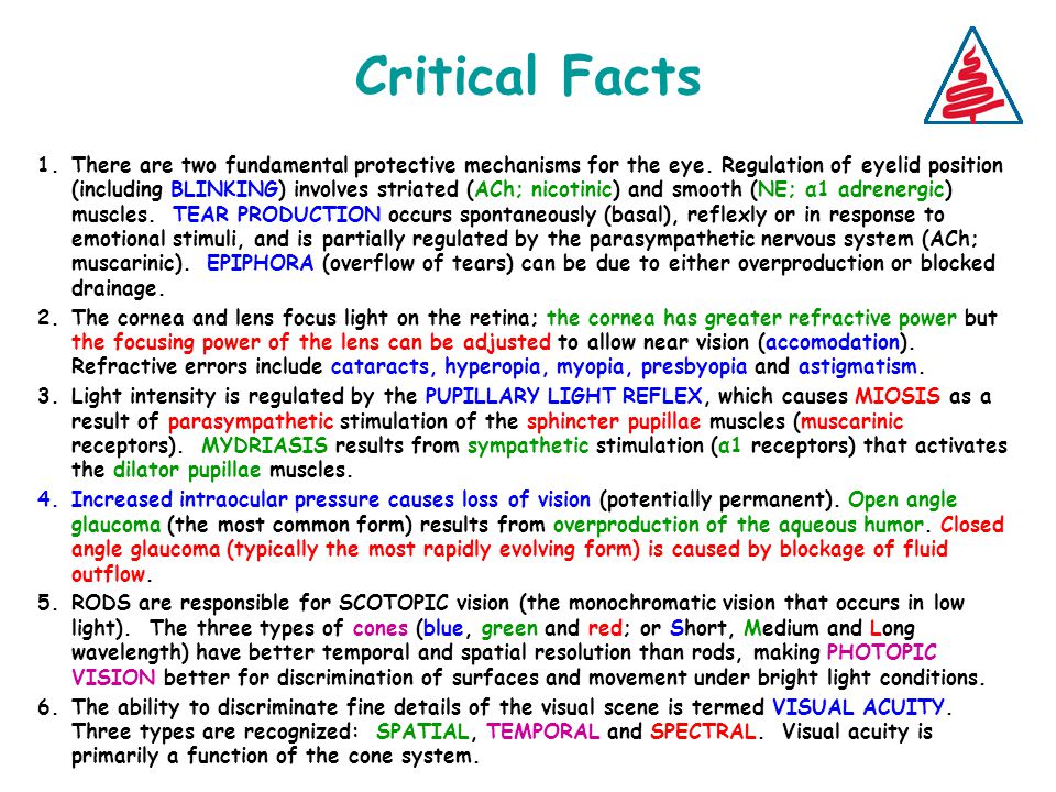 Critical Facts 1.There are two fundamental protective mechanisms for the eye.