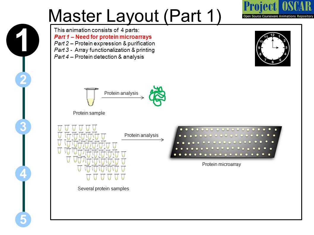 Master Layout (Part 1) This animation consists of 4 parts: Part 1 – Need for protein microarrays Part 2 – Protein expression & purification Part 3 - Array functionalization & printing Part 4 – Protein detection & analysis Protein analysis Protein sample Several protein samples Protein microarray