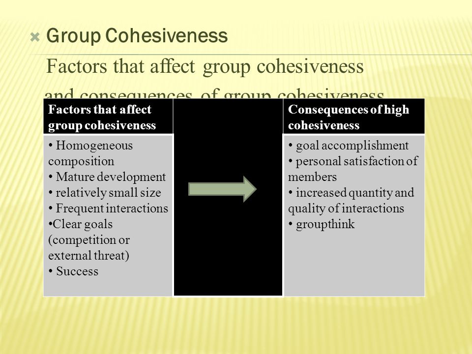  Group Cohesiveness Factors that affect group cohesiveness and consequences of group cohesiveness Factors that affect group cohesiveness Consequences of high cohesiveness Homogeneous composition Mature development relatively small size Frequent interactions Clear goals (competition or external threat) Success goal accomplishment personal satisfaction of members increased quantity and quality of interactions groupthink