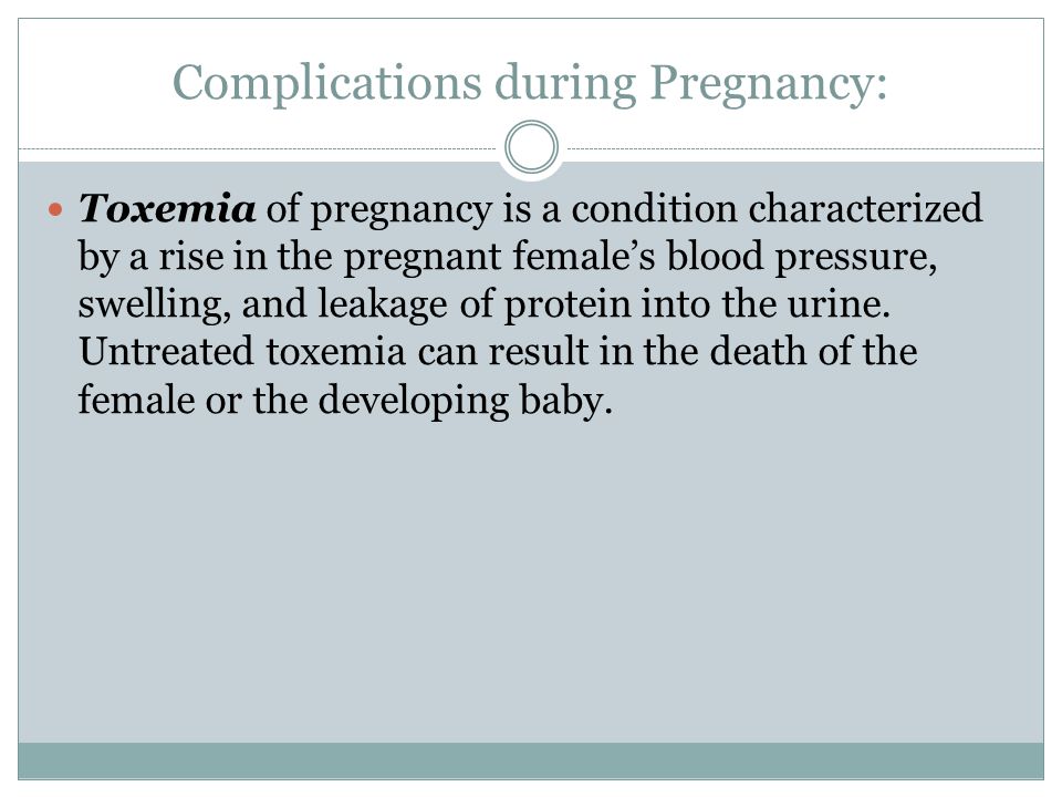 Complications during Pregnancy: Toxemia of pregnancy is a condition characterized by a rise in the pregnant female’s blood pressure, swelling, and leakage of protein into the urine.