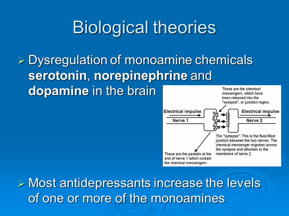 Biological theories  Dysregulation of monoamine chemicals serotonin, norepinephrine and dopamine in the brain  Most antidepressants increase the levels of one or more of the monoamines