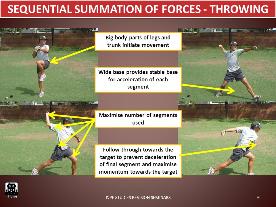 SEQUENTIAL SUMMATION OF FORCES - THROWING Big body parts of legs and trunk initiate movement Wide base provides stable base for acceleration of each segment Maximise number of segments used Follow through towards the target to prevent deceleration of final segment and maximise momentum towards the target 6©PE STUDIES REVISION SEMINARS Home