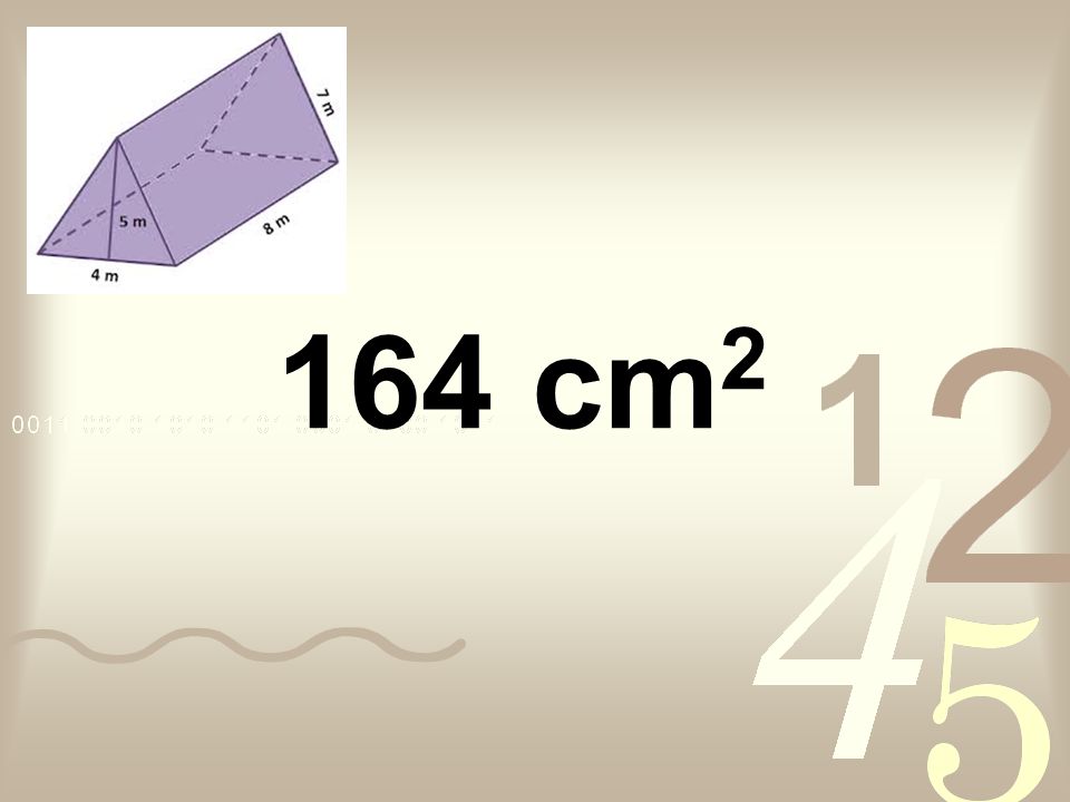 164 cm 2