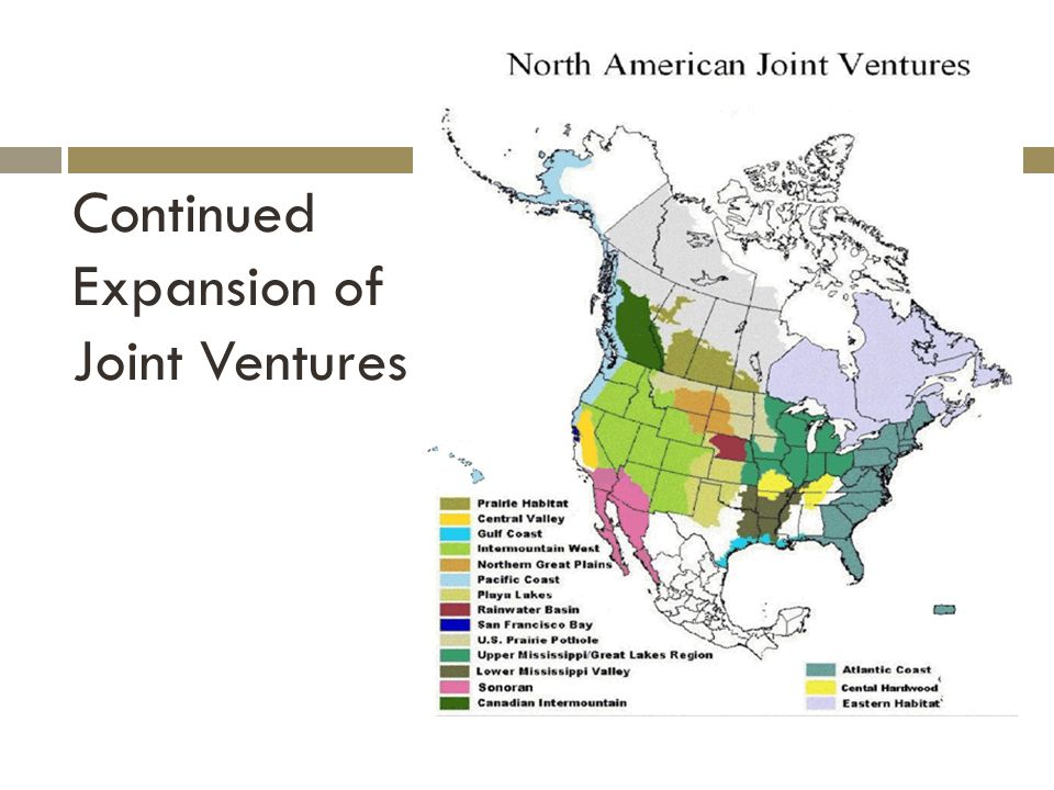Continued Expansion of Joint Ventures