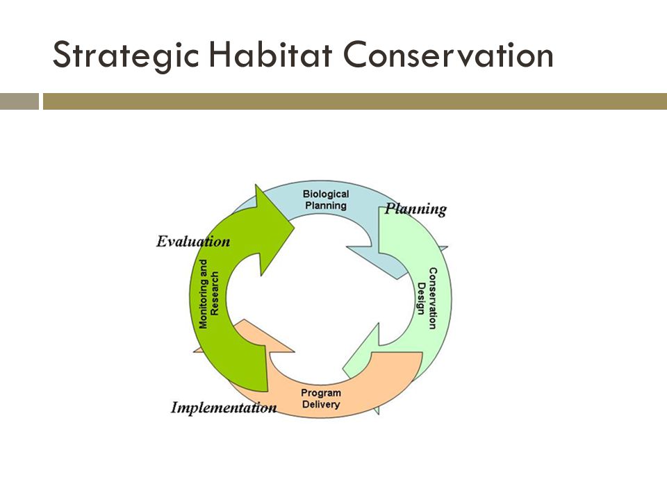 Strategic Habitat Conservation