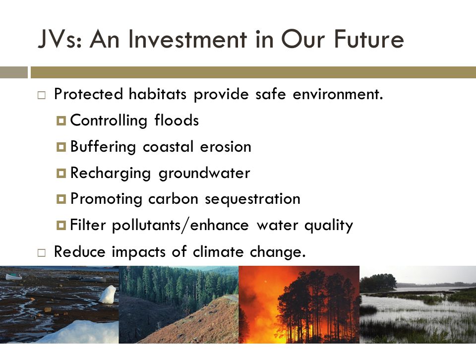 JVs: An Investment in Our Future  Protected habitats provide safe environment.