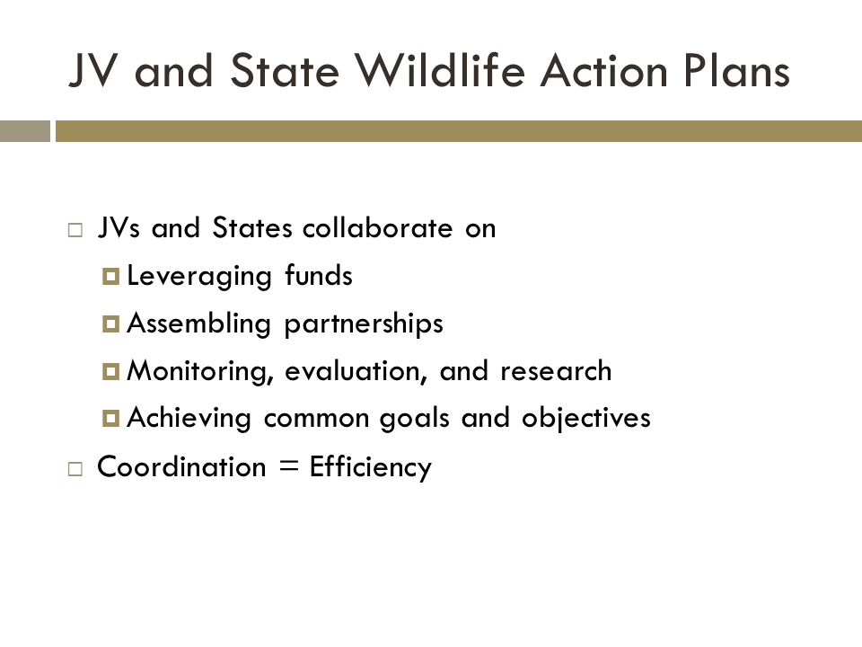JV and State Wildlife Action Plans  JVs and States collaborate on  Leveraging funds  Assembling partnerships  Monitoring, evaluation, and research  Achieving common goals and objectives  Coordination = Efficiency