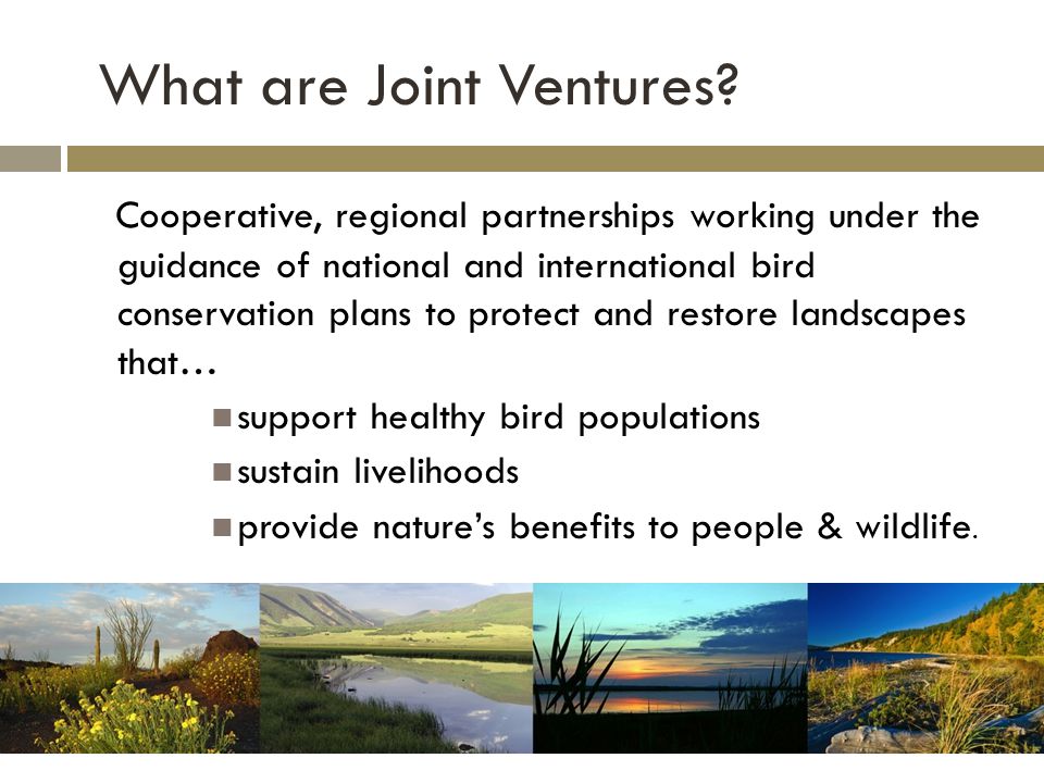 What are Joint Ventures.