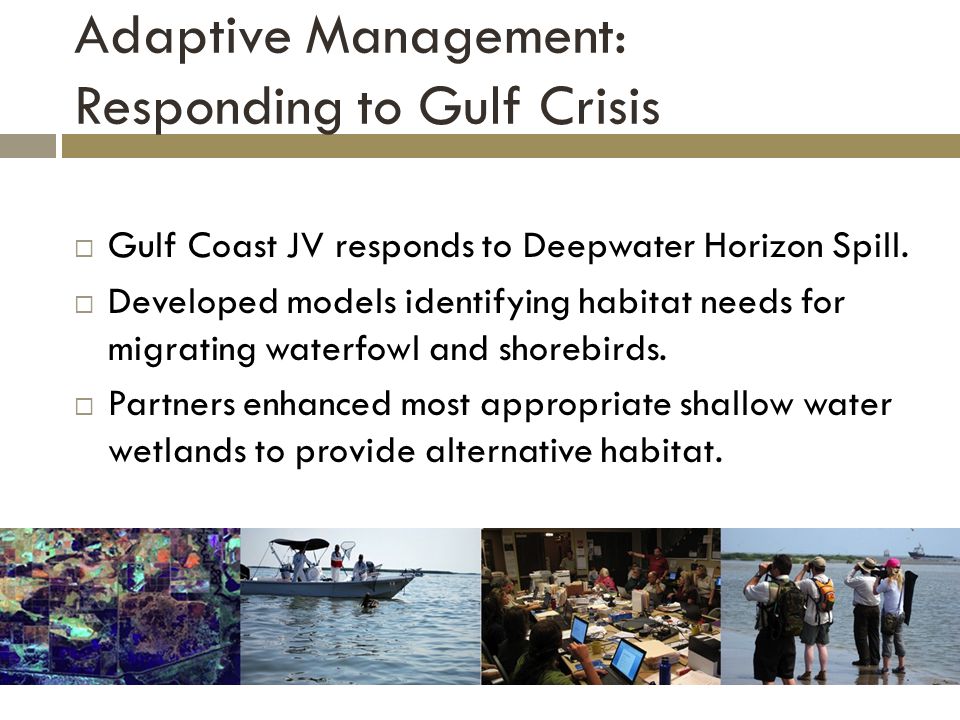 Adaptive Management: Responding to Gulf Crisis  Gulf Coast JV responds to Deepwater Horizon Spill.