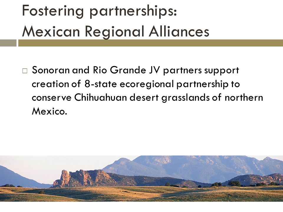 Fostering partnerships: Mexican Regional Alliances  Sonoran and Rio Grande JV partners support creation of 8-state ecoregional partnership to conserve Chihuahuan desert grasslands of northern Mexico.