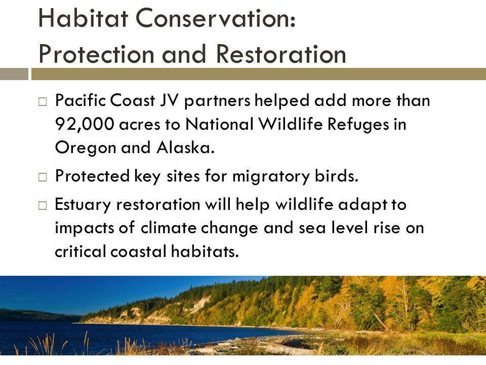Habitat Conservation: Protection and Restoration  Pacific Coast JV partners helped add more than 92,000 acres to National Wildlife Refuges in Oregon and Alaska.