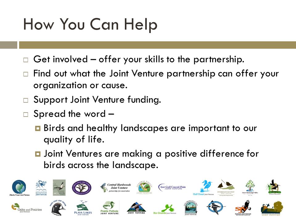 How You Can Help  Get involved – offer your skills to the partnership.