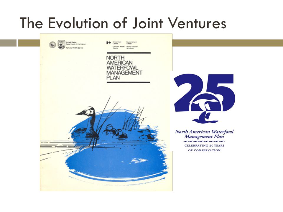 The Evolution of Joint Ventures