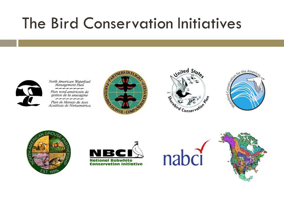 The Bird Conservation Initiatives