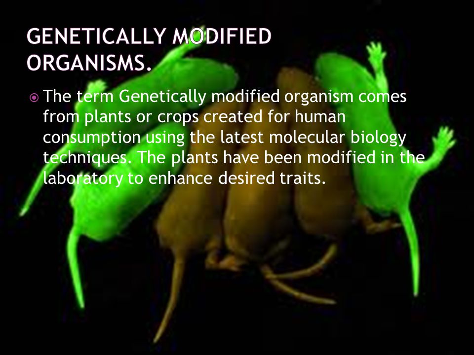  The term Genetically modified organism comes from plants or crops created for human consumption using the latest molecular biology techniques.