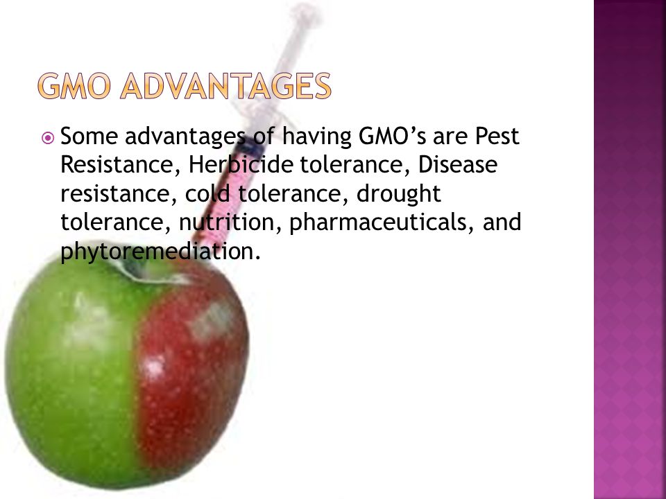  Some advantages of having GMO’s are Pest Resistance, Herbicide tolerance, Disease resistance, cold tolerance, drought tolerance, nutrition, pharmaceuticals, and phytoremediation.