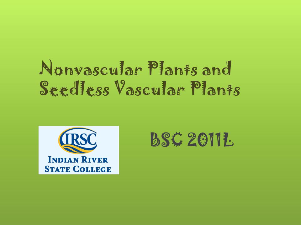 Nonvascular Plants and Seedless Vascular Plants BSC 2011L