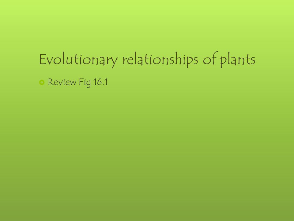 Evolutionary relationships of plants  Review Fig 16.1