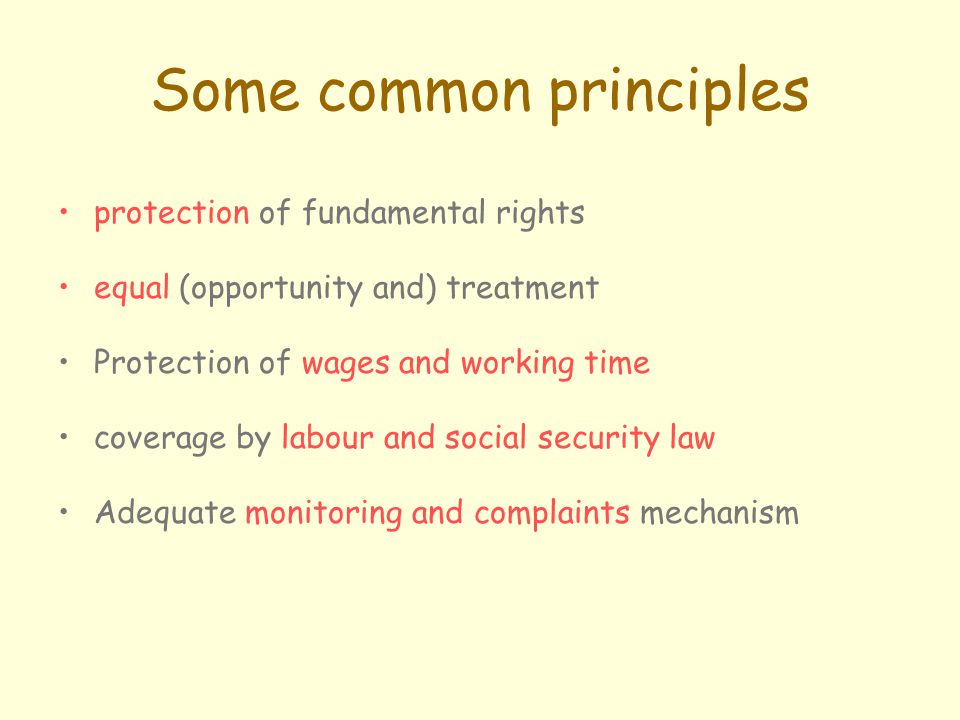 Some common principles protection of fundamental rights equal (opportunity and) treatment Protection of wages and working time coverage by labour and social security law Adequate monitoring and complaints mechanism