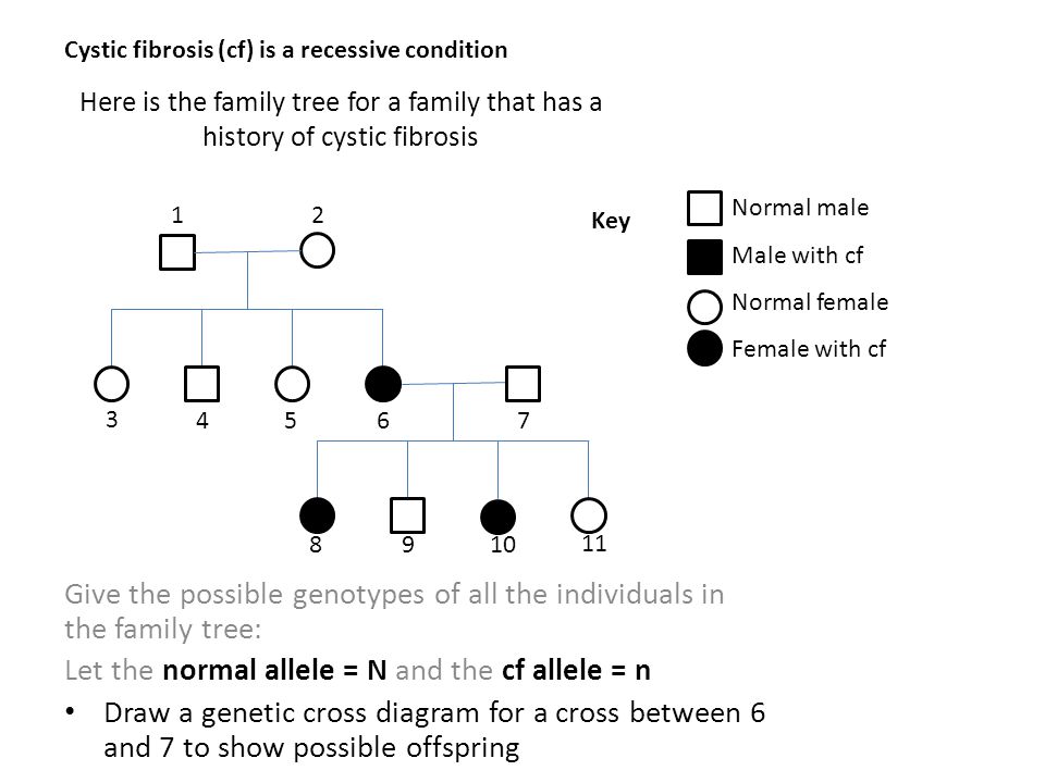 Cystic Fibrosis Pedigree Chart