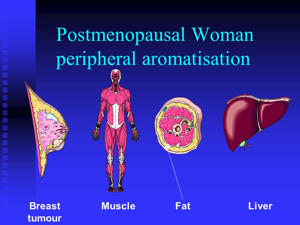 Postmenopausal Woman peripheral aromatisation Breast tumour MuscleFatLiver