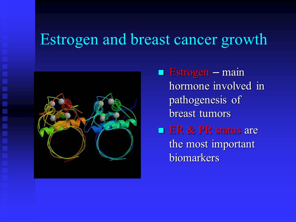 Estrogen and breast cancer growth Estrogen – main hormone involved in pathogenesis of breast tumors ER & PR status are the most important biomarkers
