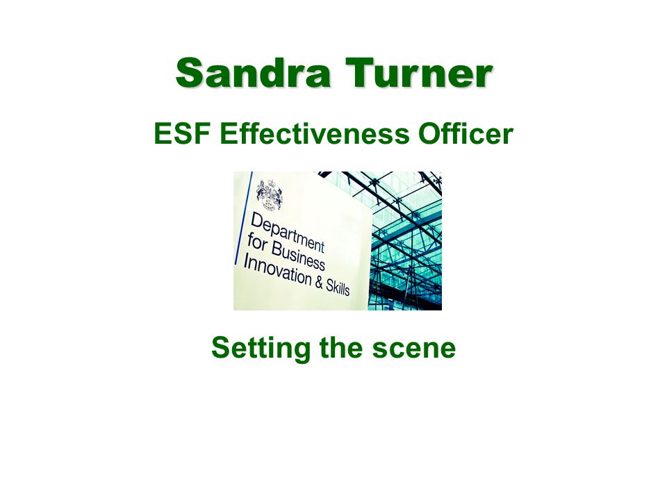Sandra Turner ESF Effectiveness Officer Setting the scene